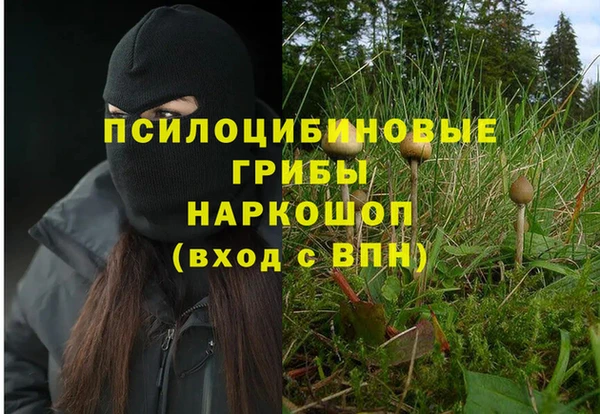 прущие крисы Володарск