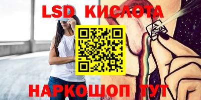 стафф Кингисепп