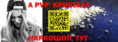 стафф Кингисепп