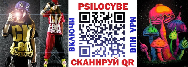 Псилоцибиновые грибы Psilocybe  Волгоград 