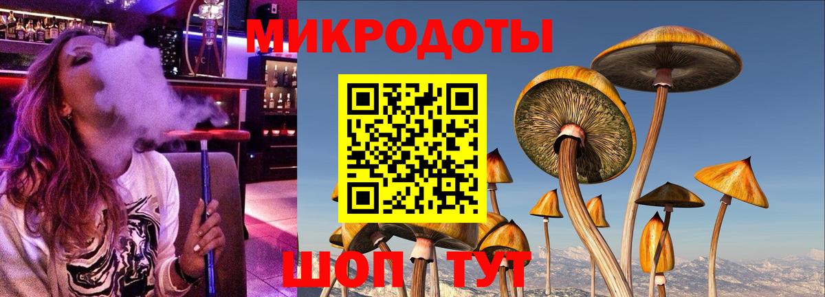 цены   Вход с VPN  Россия  Псилоцибиновые грибы Psilocybe 
